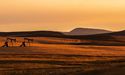 Calima Energy (ASX:CE1) on high-growth path amid robust crude oil market