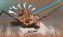 Meet ASX copper player whose share price is up 185% in a month