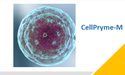 Prescient (ASX: PTX) rolls out new cell therapy platform, CellPryme-M