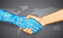 EarlyBirds helping businesses reinforce their tech preparedness