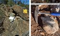 Soil geochemistry at Lithium Australia’s (ASX:LIT) Lake Johnston JV Project confirms large lithium system