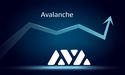 AVAX crypto soars as teams vie for US$800,000 hackathon rewards
