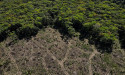  Deforestation in Brazil's Amazon hits October record ahead of govt change 