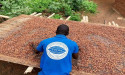  Ivory Coast and Ghana note progress in making buyers pay cocoa premiums 