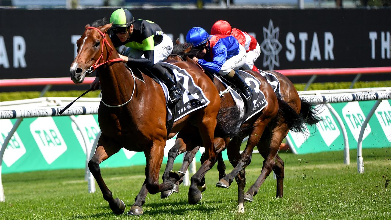 Cups King's legacy runs deep in Stockman