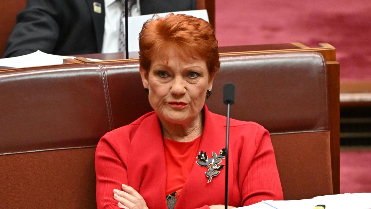  Pauline Hanson appeals defamation loss 