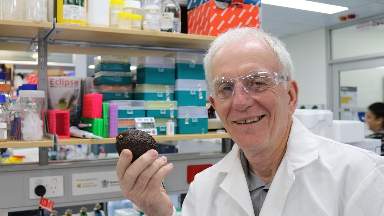 Avocado genome mapped by scientists