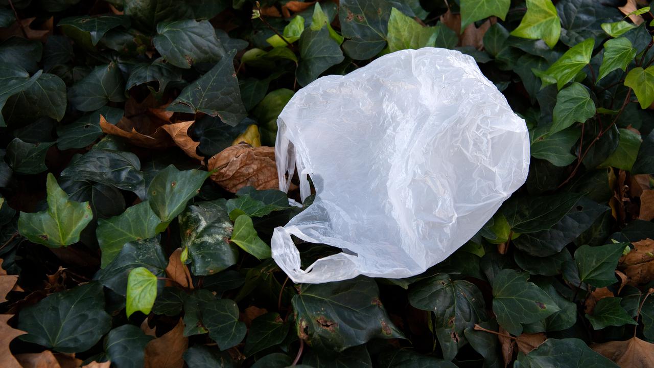 Demand for global fix to plastic pollution