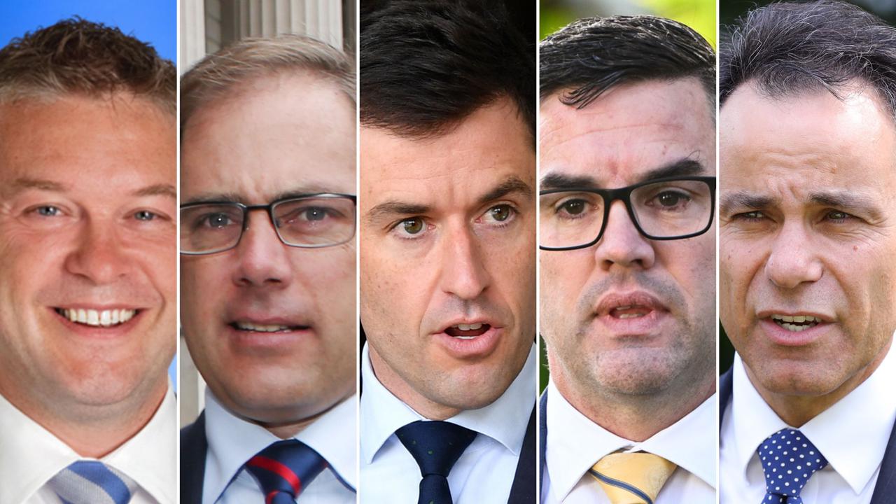  Vic Liberal leadership contenders emerge 