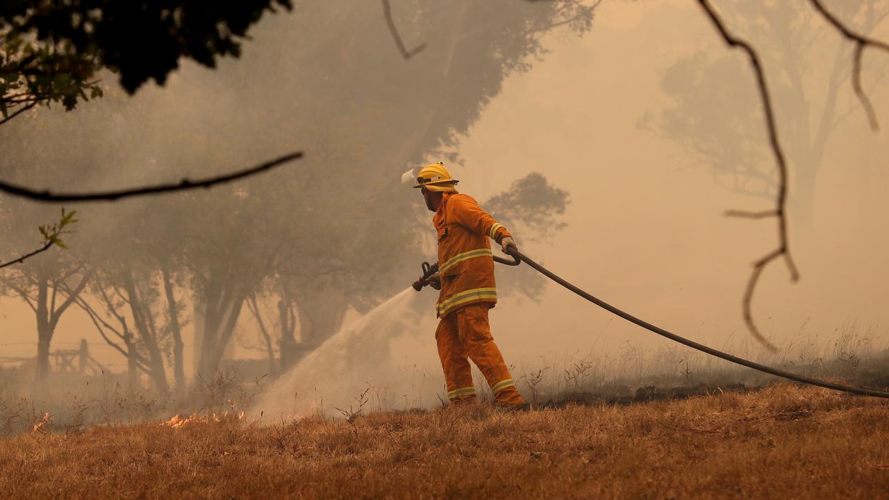  SA to monitor firebugs over summer 