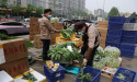  China eyes 10% cut in pesticide use on fruit, vegetables by 2025 