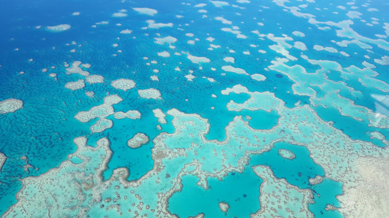Qld Indigenous rangers win Earthshot prize