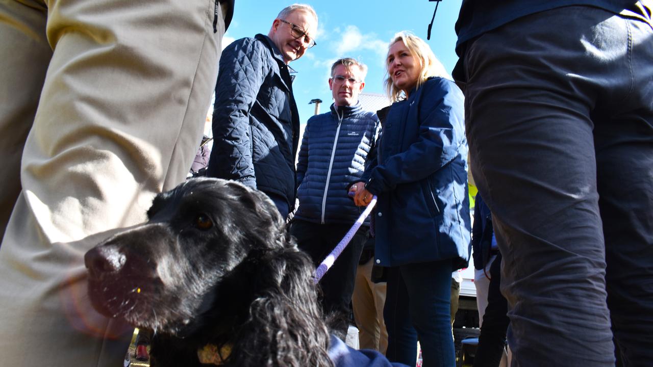 Crumpet and comfort as towns face recovery