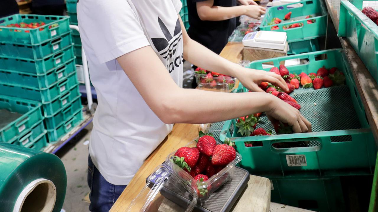 Wage theft rife for migrant workers