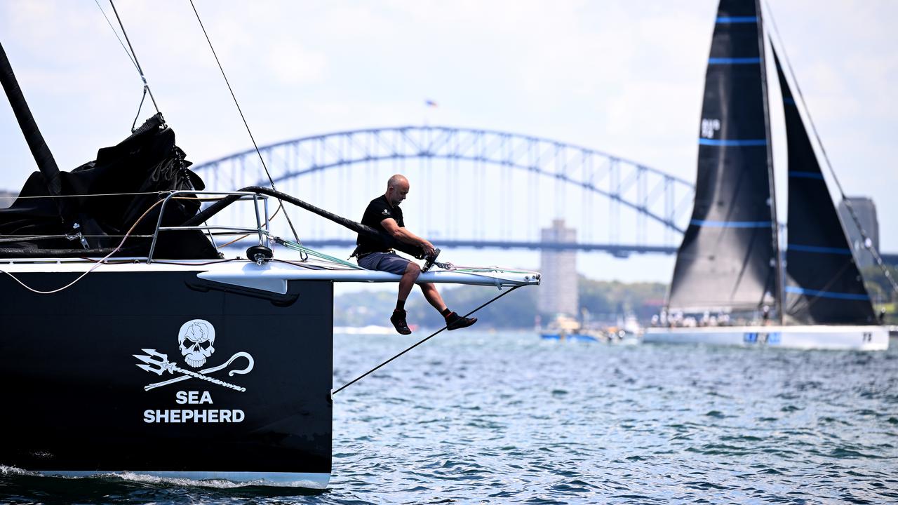 Wallaby Michael Hooper makes sailing debut