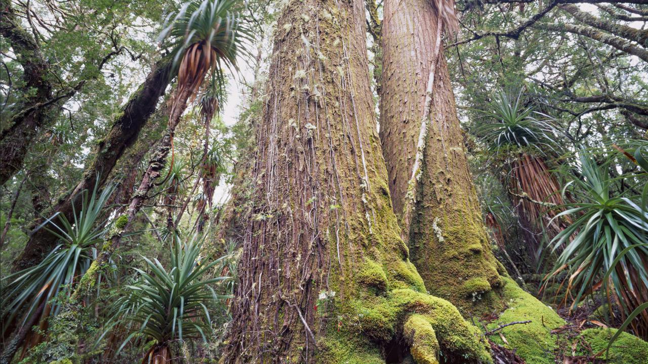 New council to fight biodiversity loss