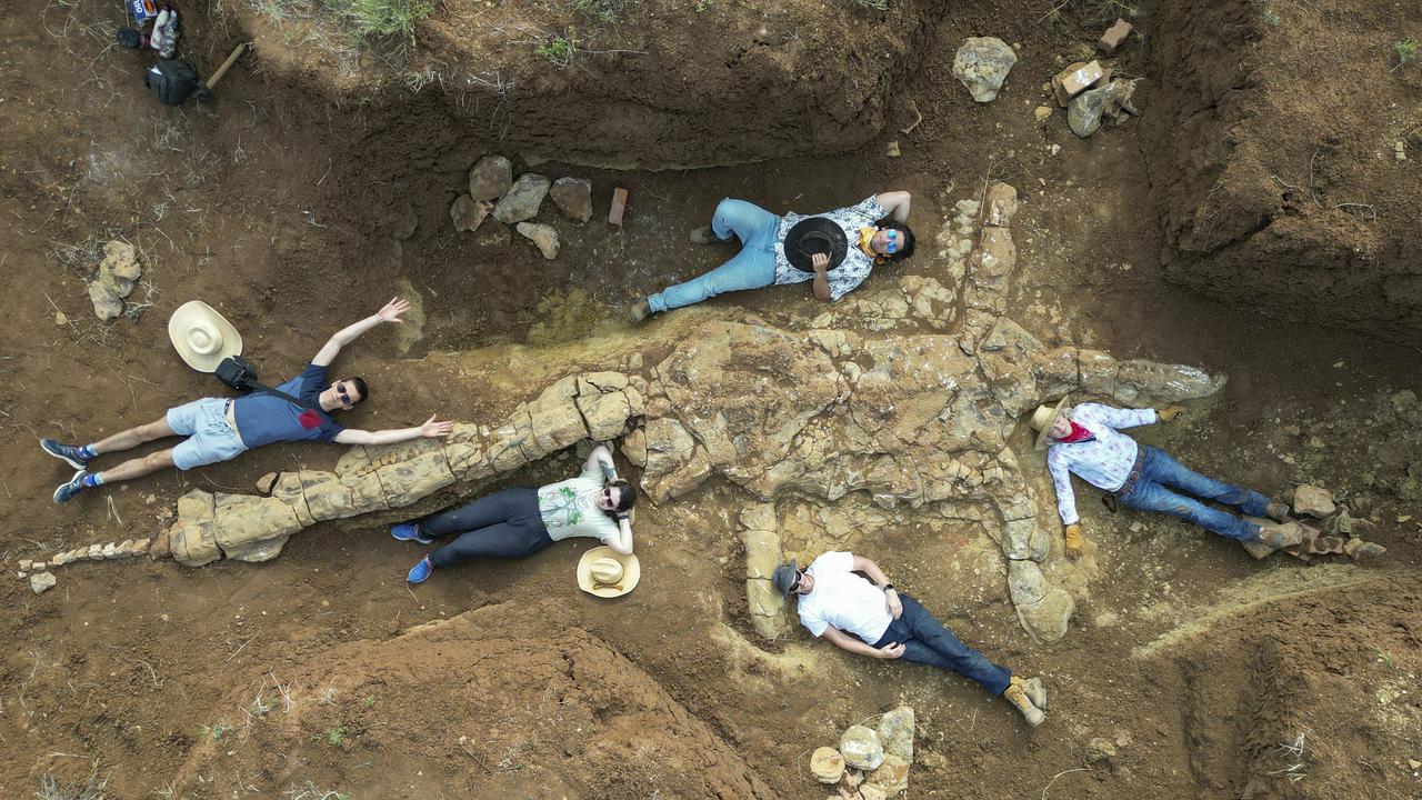 Marine fossil found in outback Qld