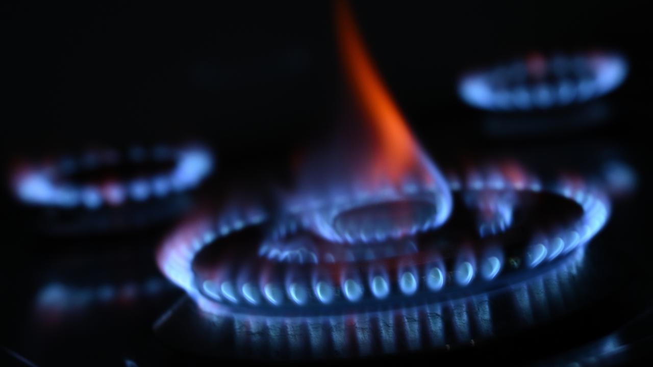  Gas boss fears plan will kill investment 