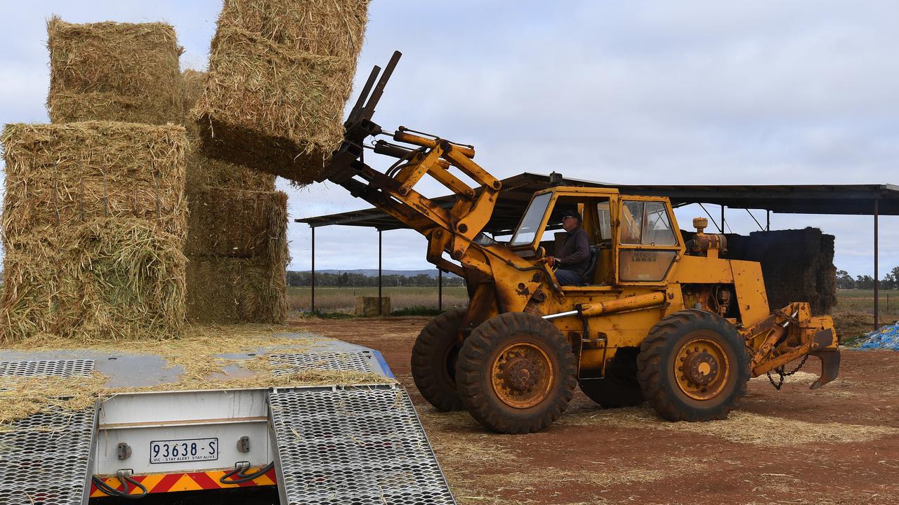 Hay exporter charged over Vic worker death