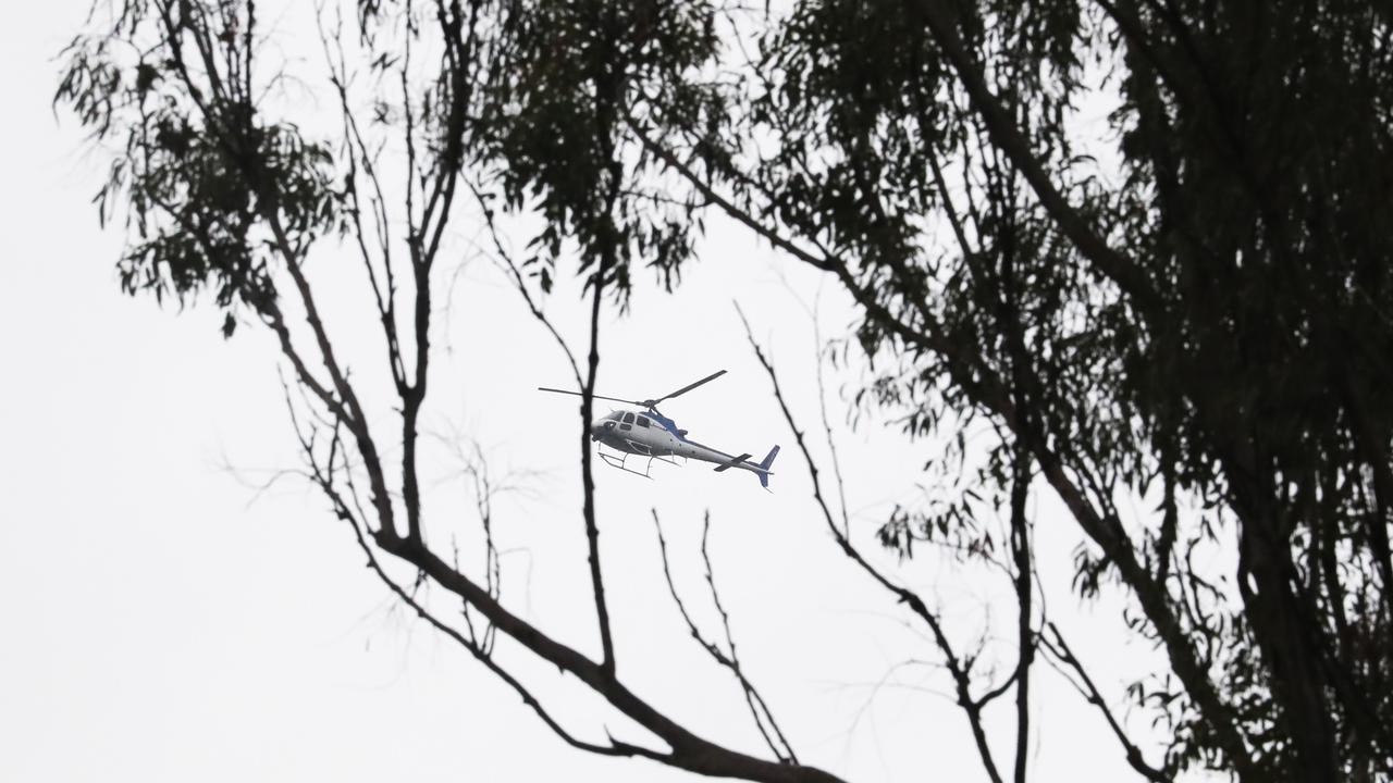 Bird carcass found in Qld plane's cockpit