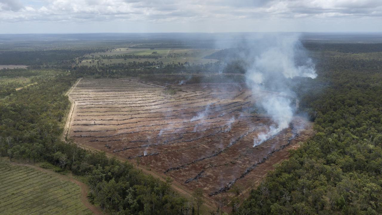 Qld land-clearing report not up to scratch