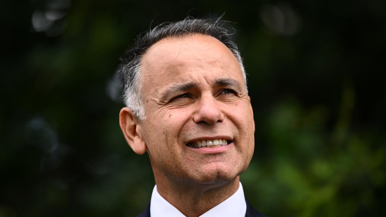 Vic opposition unveils new shadow cabinet