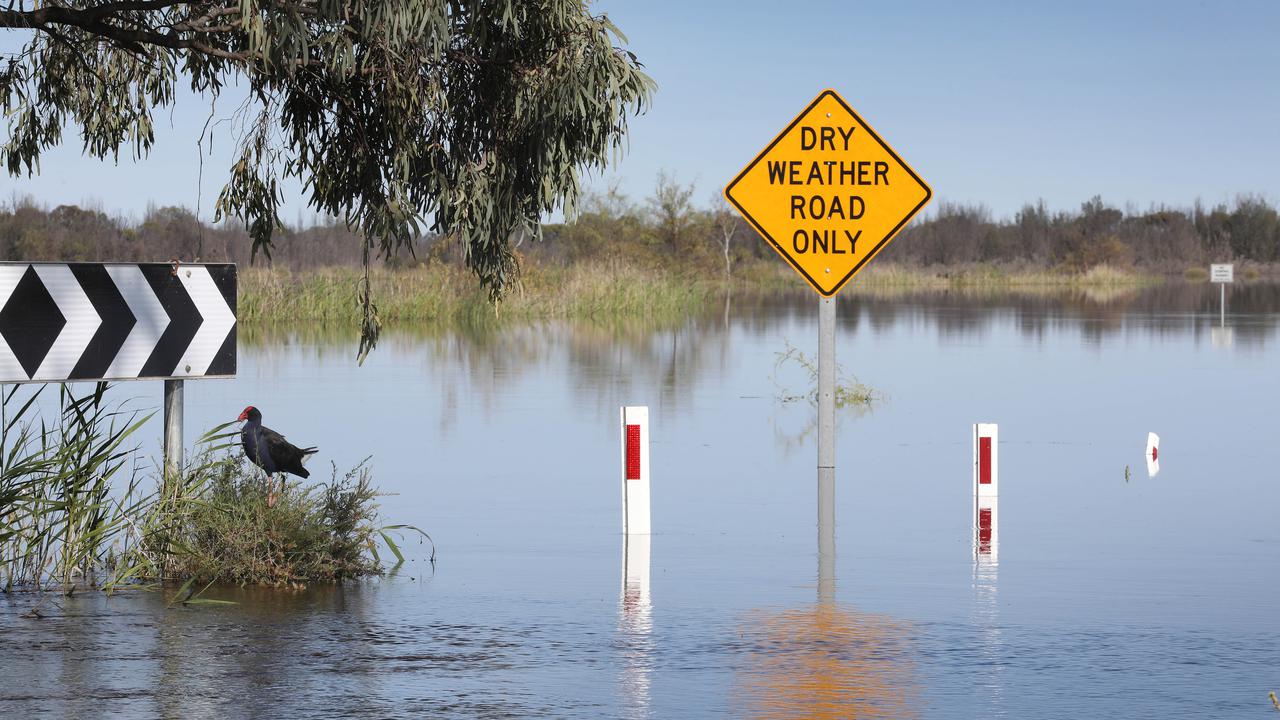  River levees fail as Murray swells in SA 