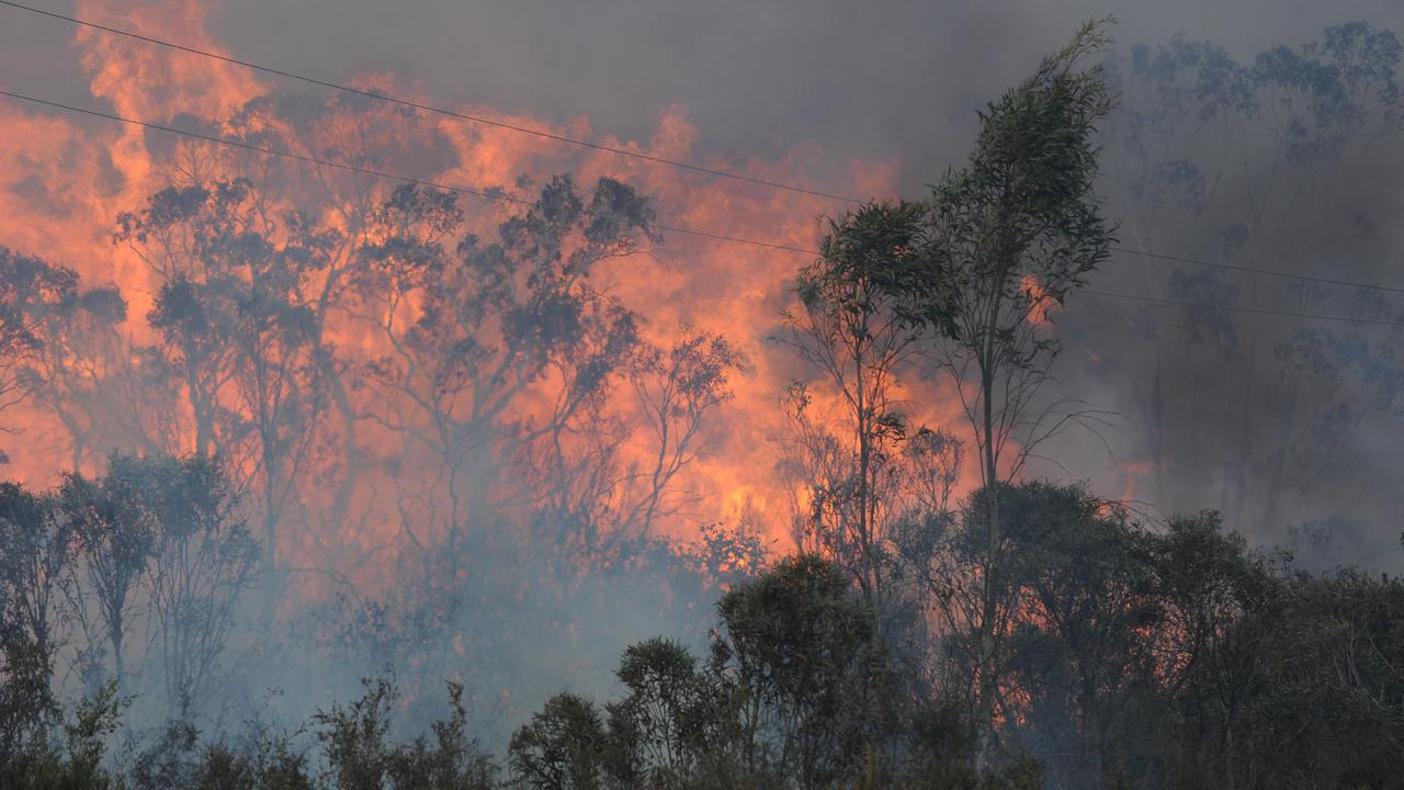 NSW facing decade-high bushfire risk