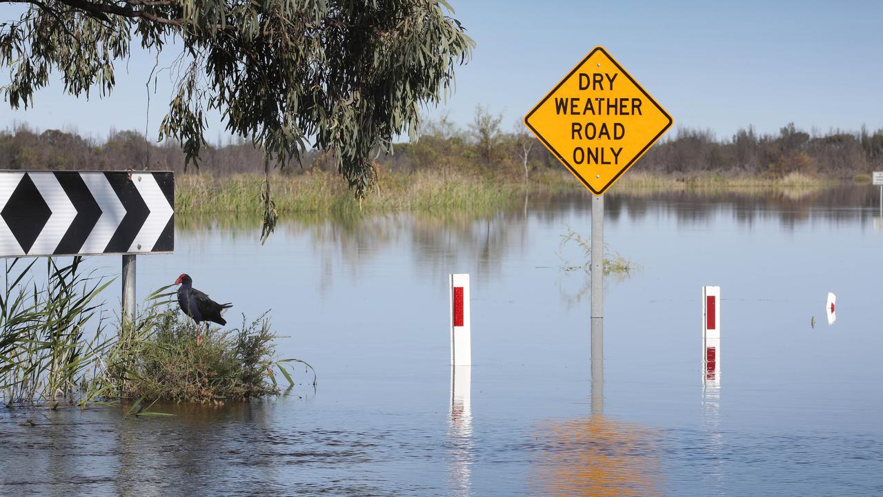  Murray River to peak in SA in coming days 