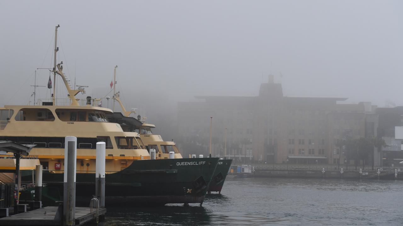  Sydney fog delays flights, halts ferries 