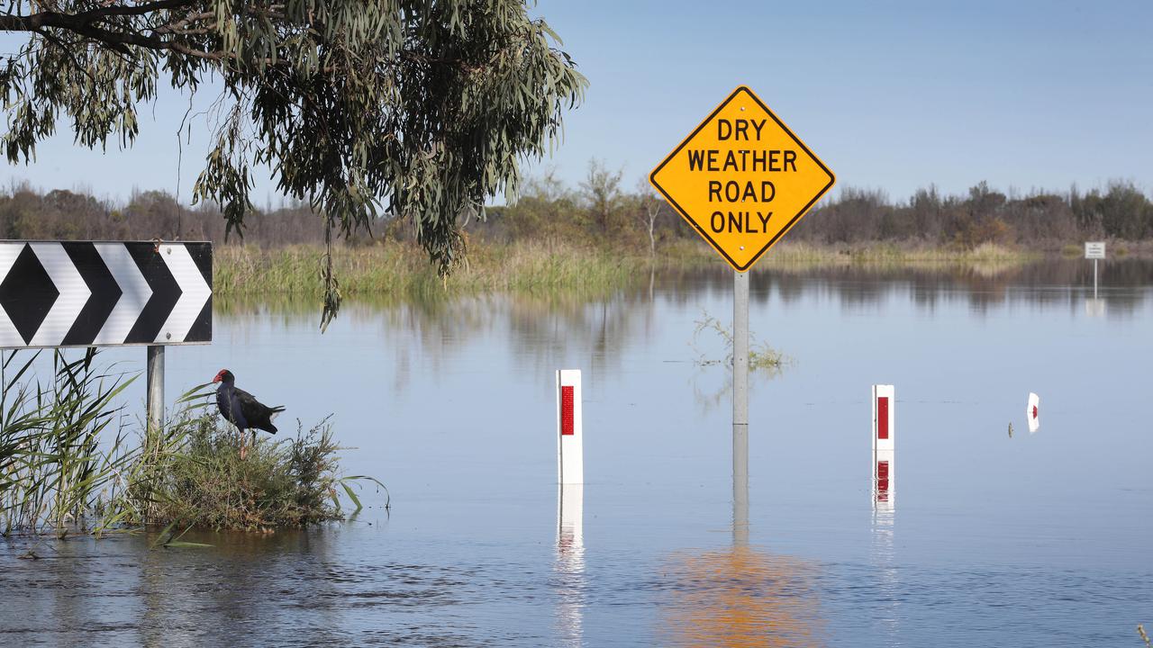 Murray reaches its peak at the SA border