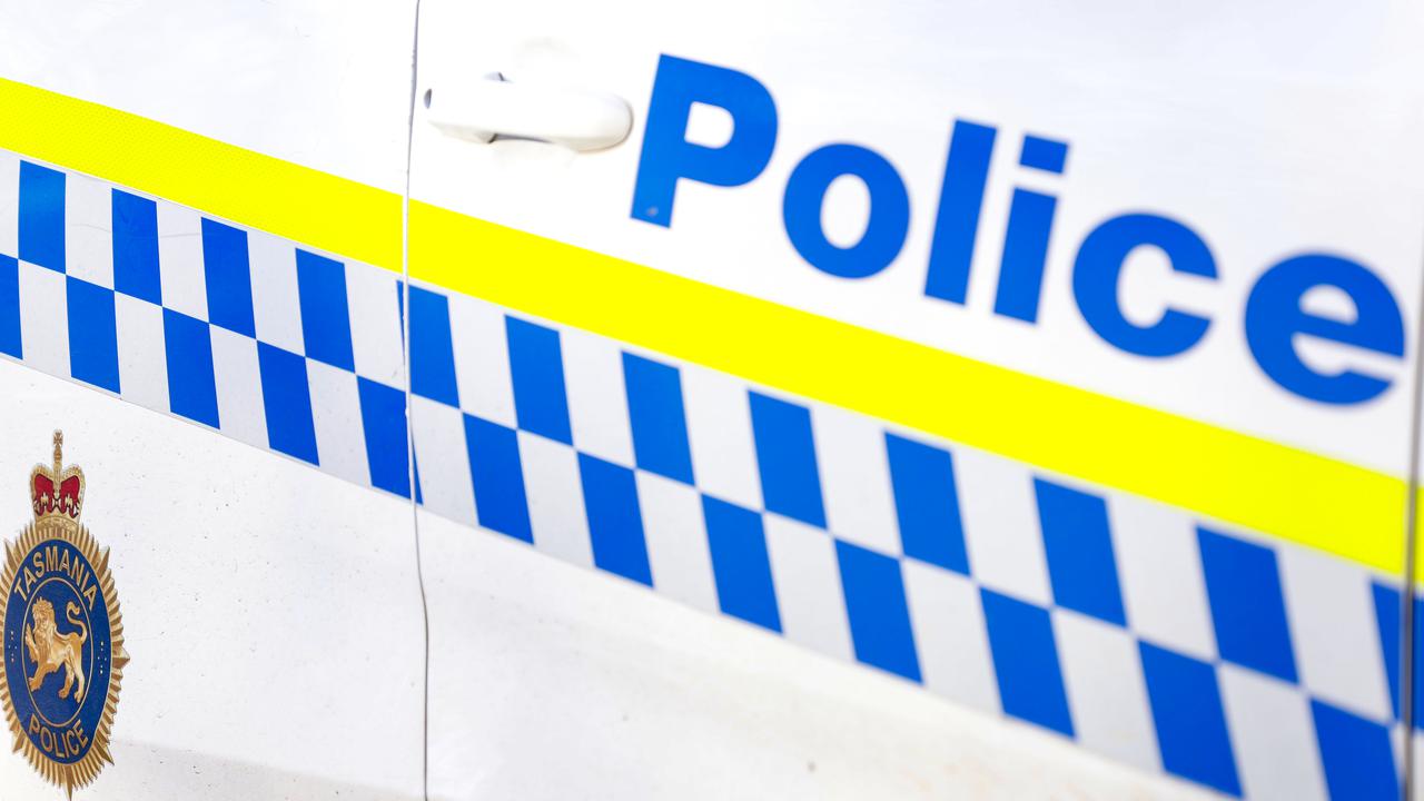 Qld man hit by tree branch dies in Tas