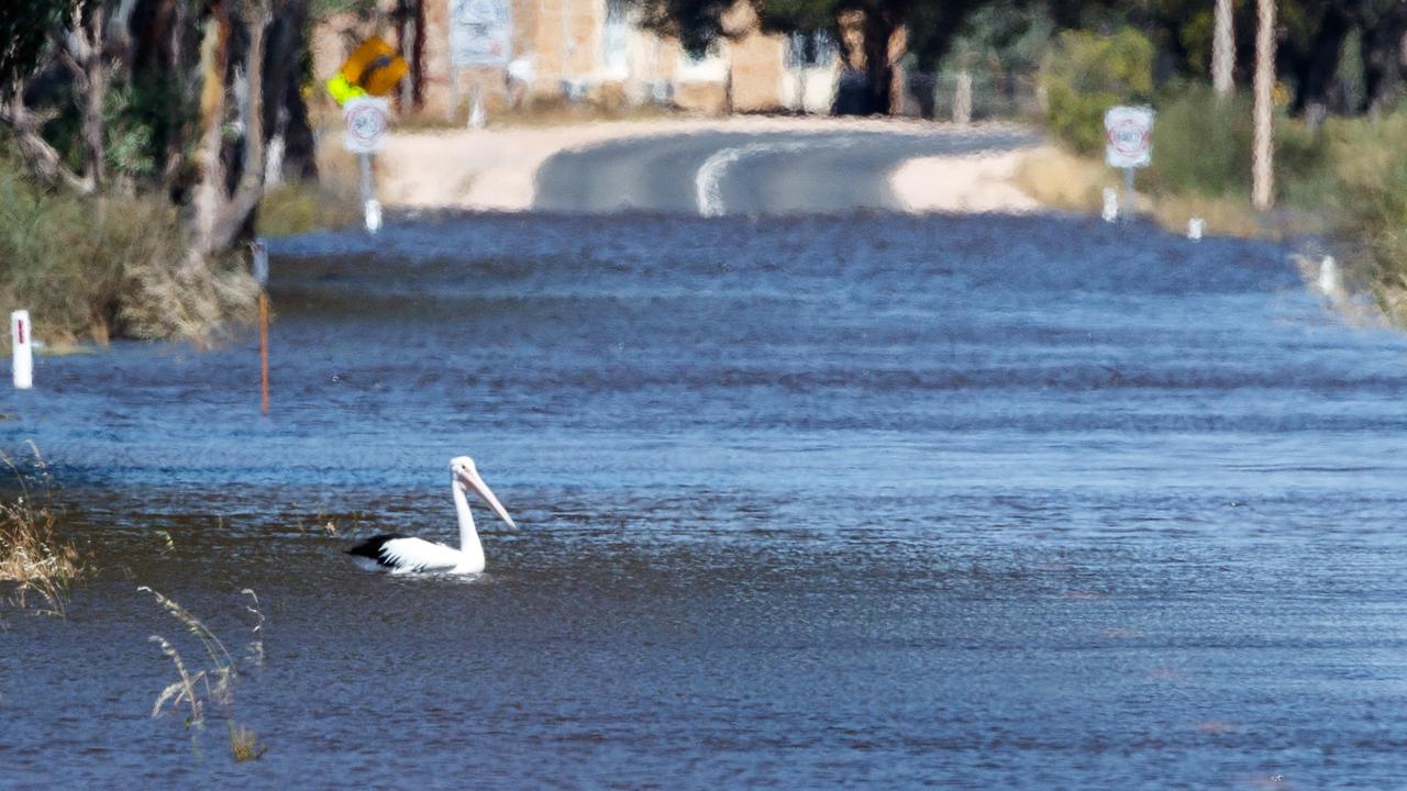 More SA flooding as peak moves down Murray