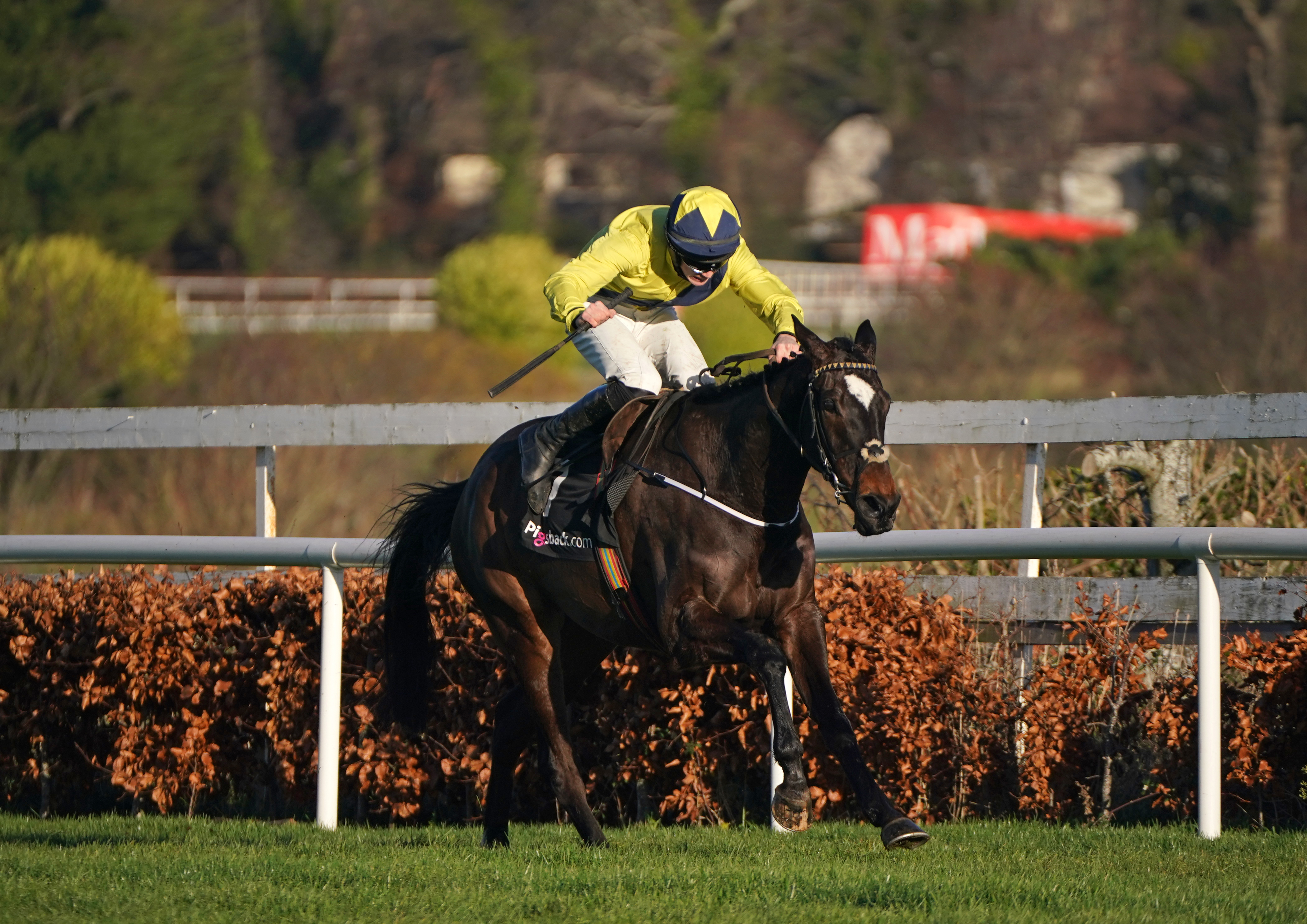  Leopardstown return on the cards for Good Land 