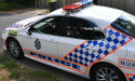 Two killed after tree fell on their car