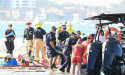  Pilot, British couple die in chopper crash 