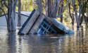 Chopper to reinforce key SA Murray levee