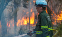  Fears ease over WA bushfire 