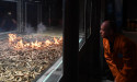 Grass fires still a risk despite floods