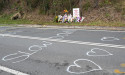  Cat and mouse complaints after fatal crash 