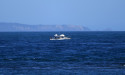 Search continues for 20yo missing in surf