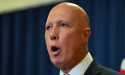 Dutton stands by subs call amid criticism