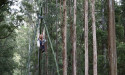 Arrests at logging protest in NSW forest