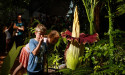 Smelly corpse flower in full bloom in SA