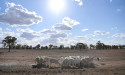 Peril as warming alters planet water cycle