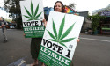Recreational cannabis not on cards in Qld