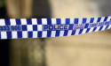 RSPCA seizes 81 cats over safety concerns