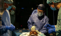 Synthetic cadaver patent faces legal death