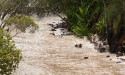 Three rescued from floodwater in north Qld