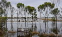 Plans to divert Murray River to Vic plains